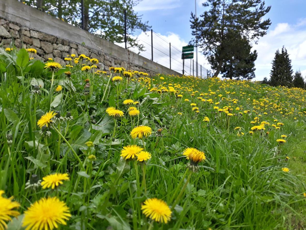 Pokoje Gościnne Pod Cuproną Szczawnica Zewnętrze zdjęcie